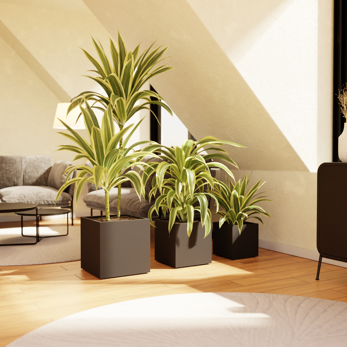 Plantcubes "Balearen"