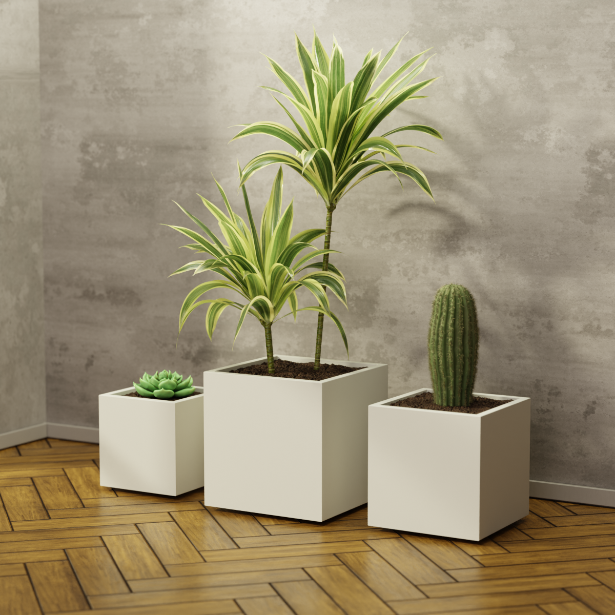 Plantcubes "Balearen"