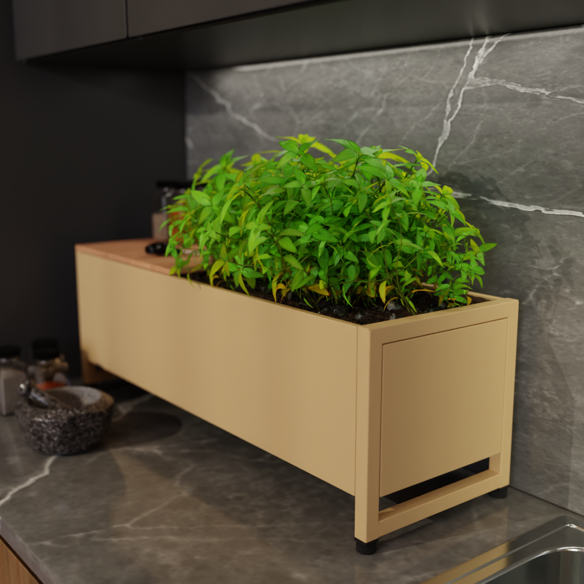 Plantbox „Dublin“