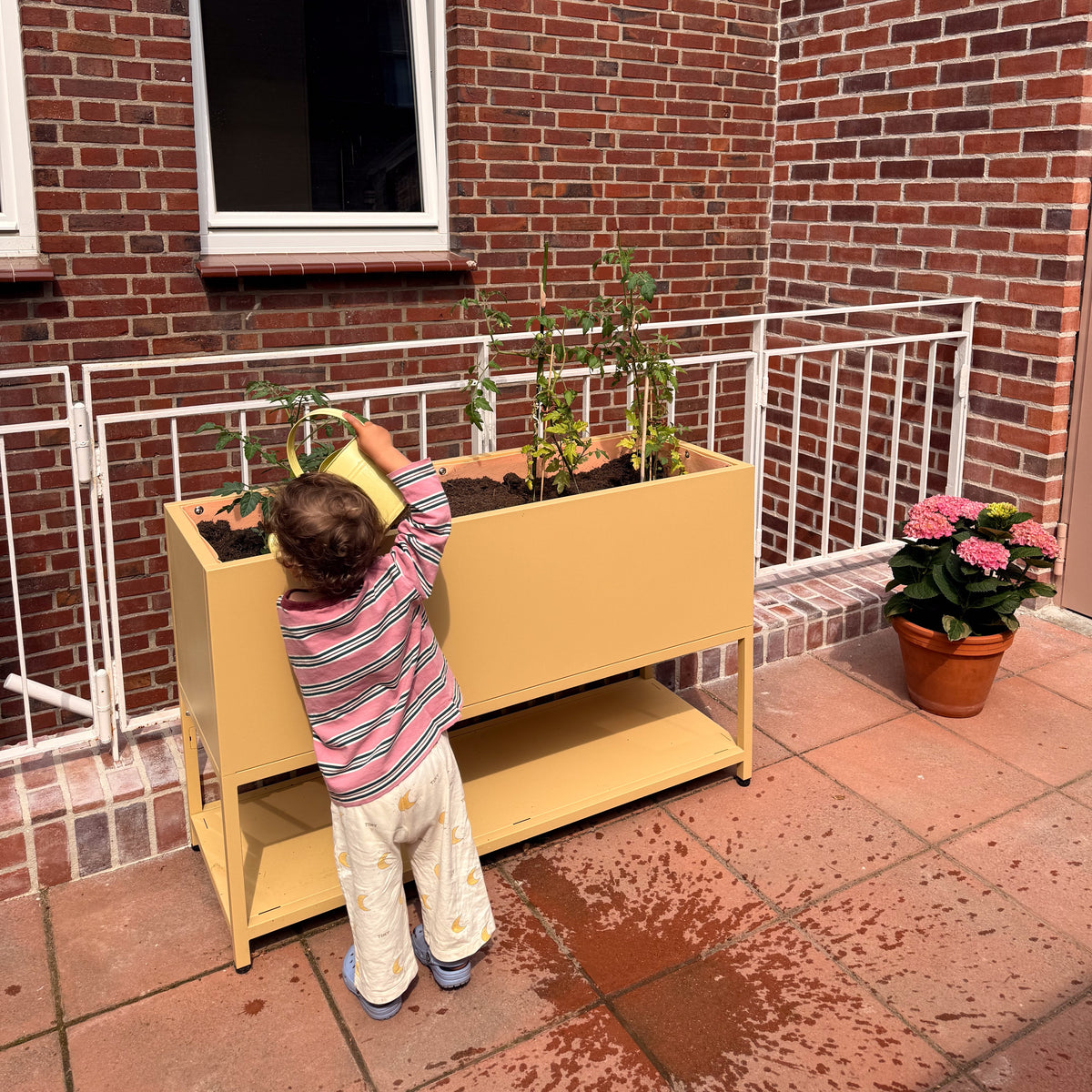 Kind gießt Tomatenpflanzen in beigem Hochbeet auf Terrasse